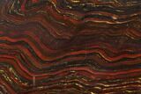 Polished Tiger Iron Stromatolite - Billion Years #129343-1
